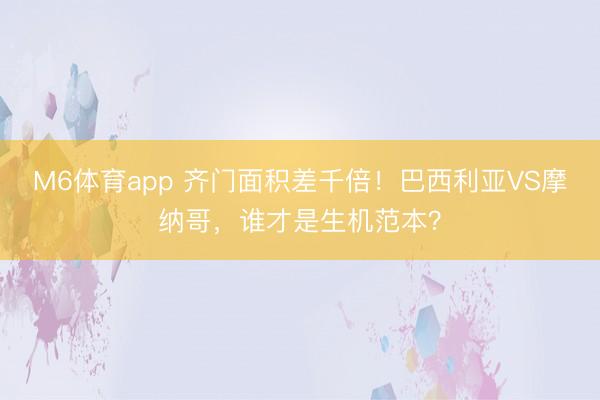M6体育app 齐门面积差千倍！巴西利亚VS摩纳哥，谁才是生机范本？