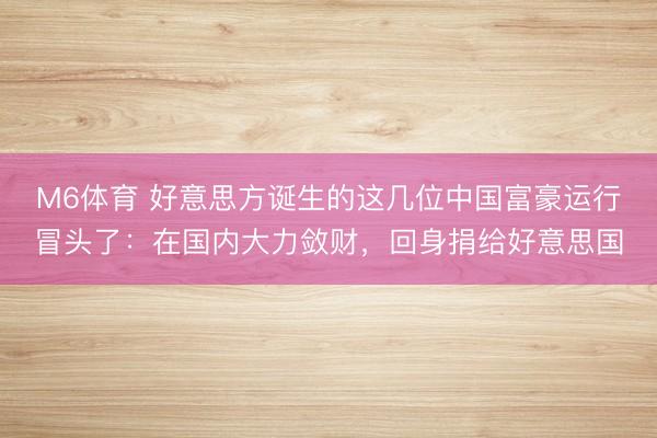 M6体育 好意思方诞生的这几位中国富豪运行冒头了：在国内大力敛财，回身捐给好意思国