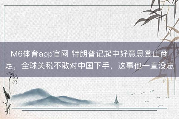 M6体育app官网 特朗普记起中好意思釜山商定，全球关税不敢对中国下手，这事他一直没忘