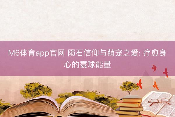 M6体育app官网 陨石信仰与萌宠之爱: 疗愈身心的寰球能量